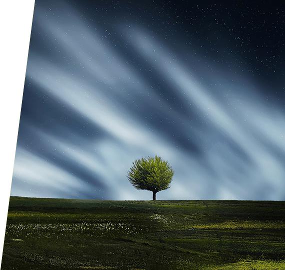 yl6809永利(中国游)官方网站